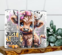 Load image into Gallery viewer, Just-a-Little Moody Highland Cow