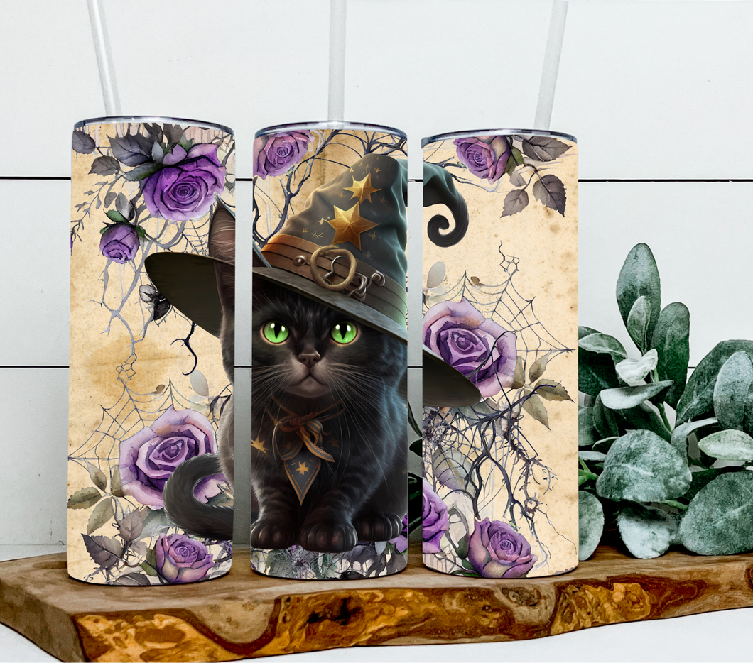 Halloween black cat witch